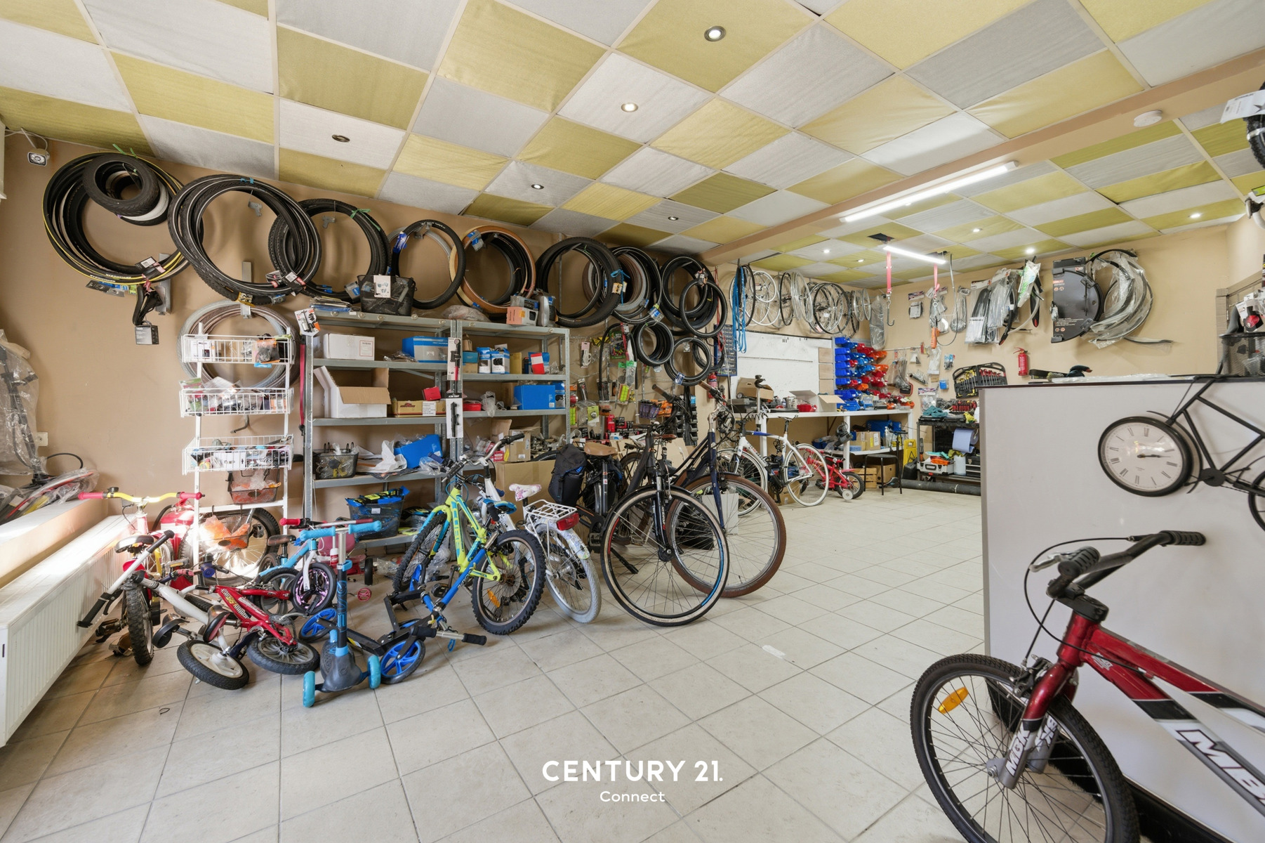 Commercial à vendre à Oud-Heverlee - photo 5