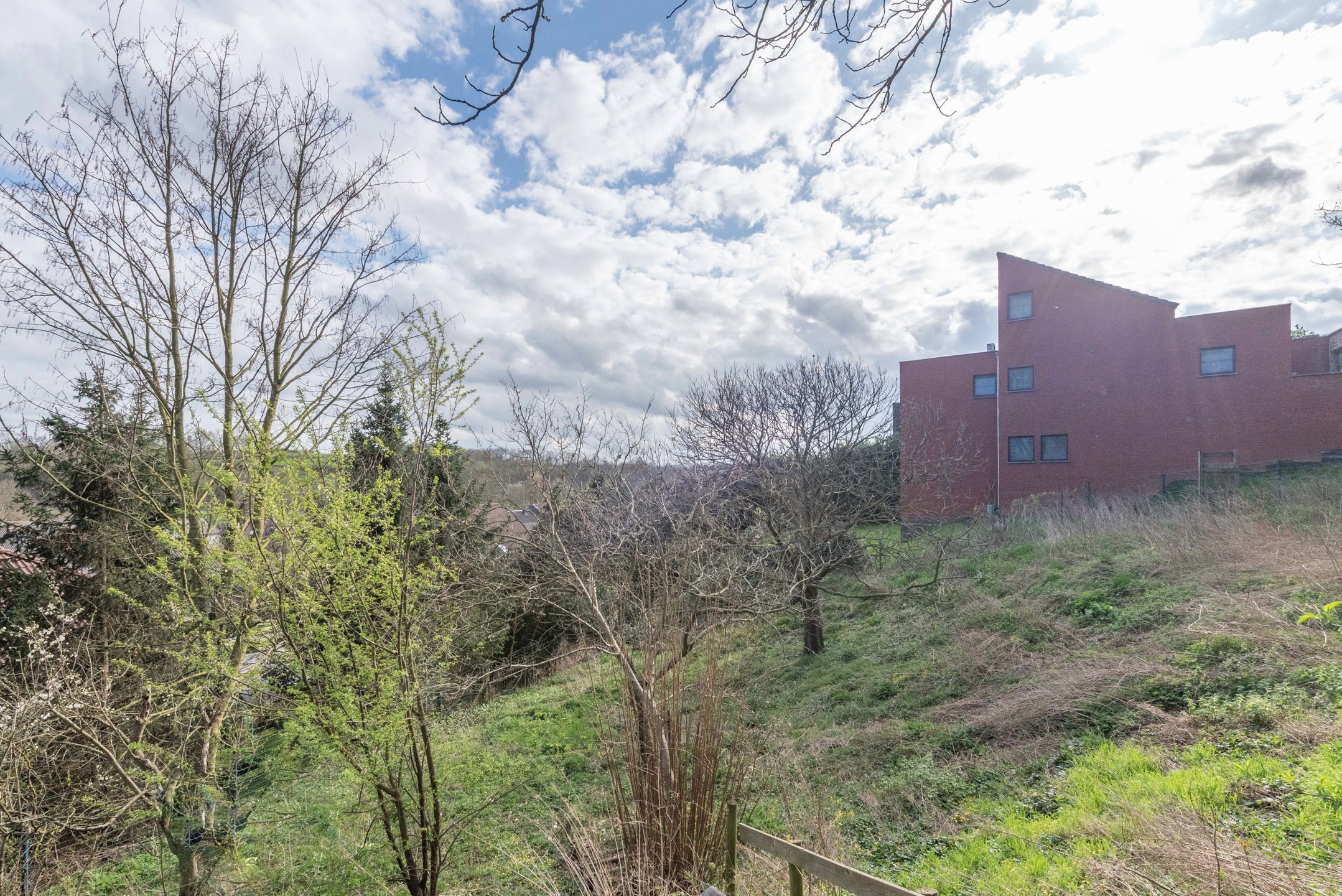 Terrain à vendre à Bassenge - photo 5