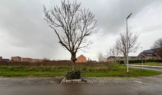 Deze prachtig gelegen bouwgrond van 8 are 17 ca voor open bebouwing bevindt zich op de hoek van de Vlasstraat en de Burgemeester Bovensstraat in Meeswijk. U geniet hier van een rustige en aangename woonomgeving, met winkels, scholen en eetgelegenheden op korte afstand.<br /><br />De gunstige ligging zorgt voor een vlotte verbinding naar omliggende gemeenten en belangrijke invalswegen. Daarnaast bevindt het perceel zich op korte afstand van het veerpunt over de Maas, waardoor u vlot de verbinding maakt met Nederland.<br /><br /><strong>Beschrijving perceel:</strong><br />- Geschikt voor open bebouwing<br />- LOT 3 op het verkavelingsplan<br />- Oppervlakte: 817 m²<br />- Bestemming: woongebied met landelijk karakter<br /><br />Voor meer informatie en de bouwvoorschriften neem contact op via gilles@haerdimmo.be of 0492/86 61 15.<br /><br />Wenst u een gratis schatting van uw eigendom? Contacteer mij vrijblijvend voor een afspraak!