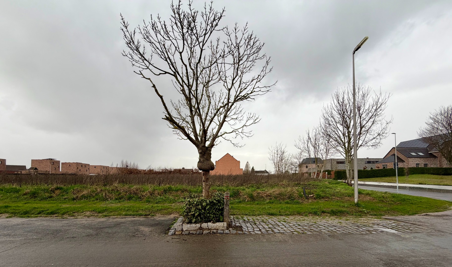 Bouwgrond van 8 are 17 ca voor open bebouwing in Meeswijk - foto 3