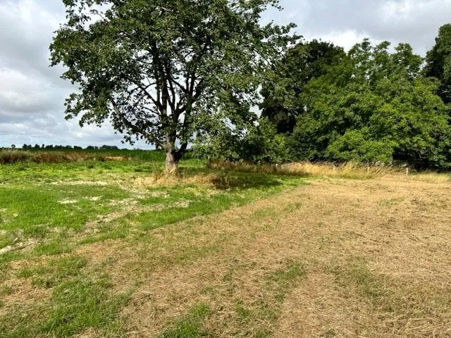Uniek stuk bouwgrond  met 33 m perceelbreedte op bouwlijn!  16 a 54 ca. - foto 5