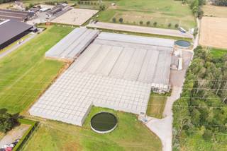 VALIMMAS verhuurt dit commercieel welgelegen serre-complex, ideaal voor agrarische- of tuinbouwactiviteiten. Serres grotendeels metalen...