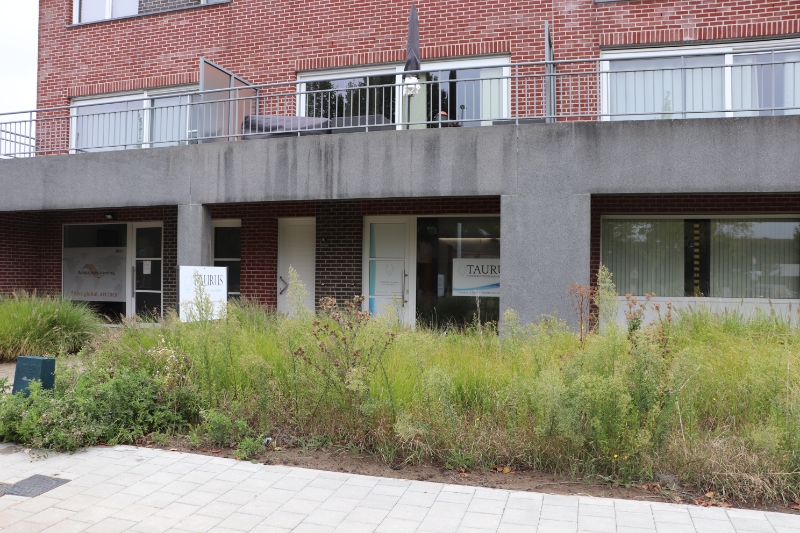 Handelspand 52m2 met garage & 2 autostaanplaatsen - foto 3