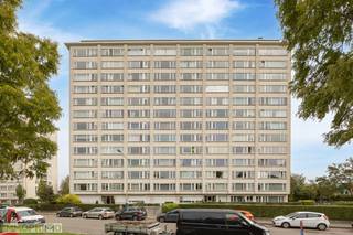 <strong>Ruim 2-slaapkamerappartement met terras en prachtig zicht – Rodekruislaan - D9, 2600 Berchem</strong><br /><br />In het hart van het geliefde Berchem, op de Rodekruislaan 3, bevindt zich dit instapklare en lichtrijke 2-slaapkamerappartement met terras en adembenemend zicht over de stad.<br /><br />Bij het betreden van het appartement komt u terecht in een ruime inkomhal. Aan de rechterzijde bevindt zich de vernieuwde, moderne badkamer, uitgerust met een inloopdouche, enkele lavabo met stijlvol meubel en aansluiting voor een wasmachine.<br /><br />De ruime en lichtrijke leefruimte wordt gekenmerkt door grote raampartijen die zorgen voor een aangename natuurlijke lichtinval. Aansluitend bevindt zich de aparte, grotendeels gerenoveerde keuken met veel opbergruimte, voorzien van een oven, koelkast, kookvuur, dampkap en enkele lavabo.<br /><br />Het appartement beschikt over twee volwaardige slaapkamers, waarvan de master bedroom directe toegang biedt tot het terras – een ideale plek om te genieten van het unieke uitzicht over de stad.<br /><br /><strong>Extra troef</strong>: een privatieve kelderberging is inbegrepen.<br /><br /><u><em><strong>Troeven:</strong></em></u><br />Gegeerde ligging in Berchem<br />Ruime, lichtrijke woonruimtes<br />Vernieuwde badkamer<br />Terras met prachtig uitzicht<br />Kelderberging inbegrepen<br /><br />Wenst u een bezoek of meer informatie? Contacteer ons gerust voor een afspraak.