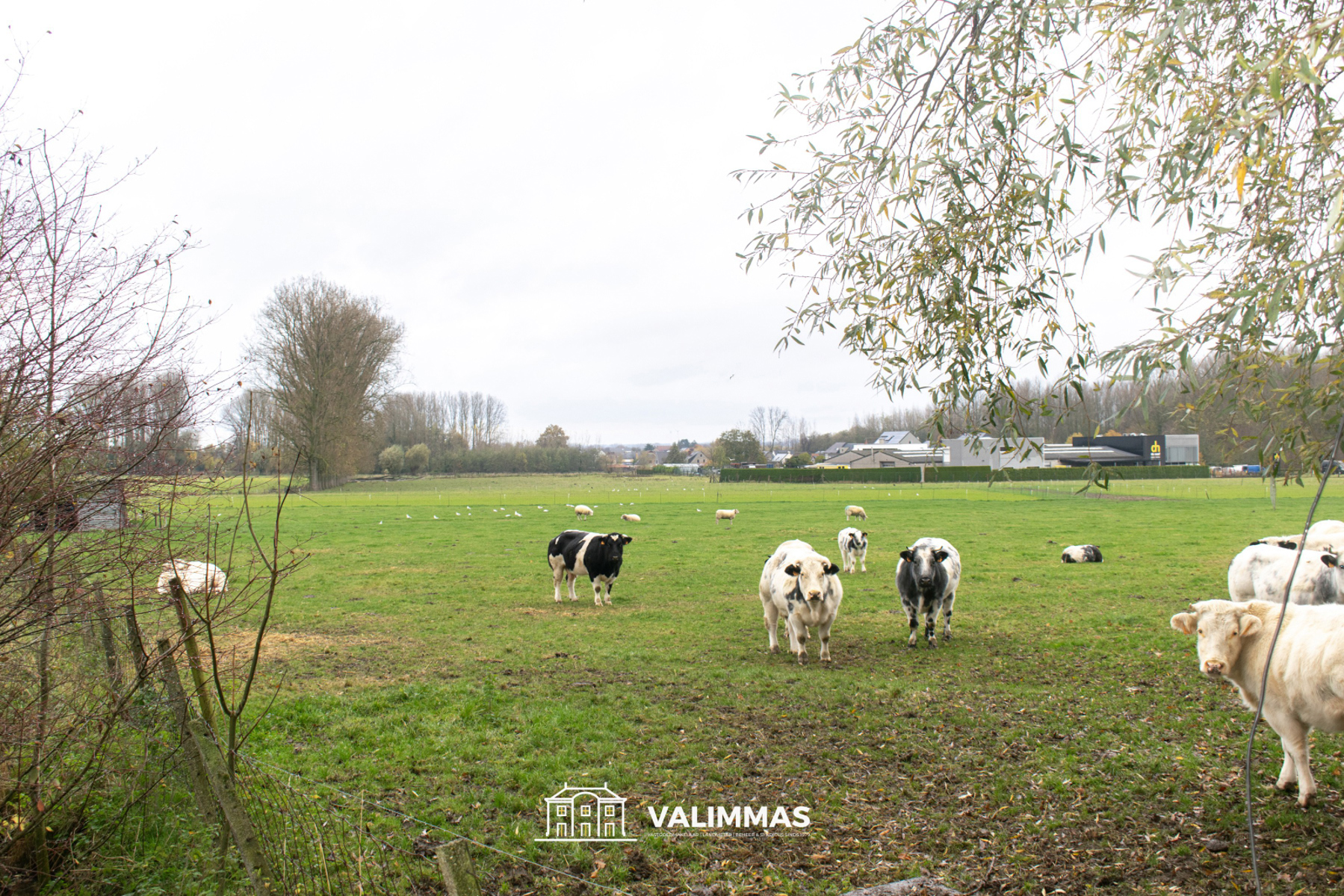 Terrain à vendre à Opwijk - photo 1