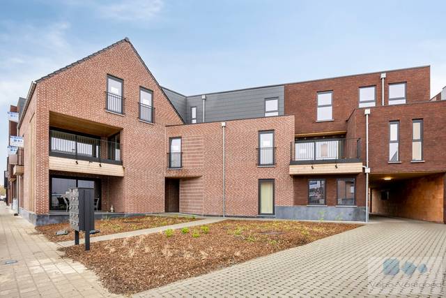 Project for sale in Berlaar