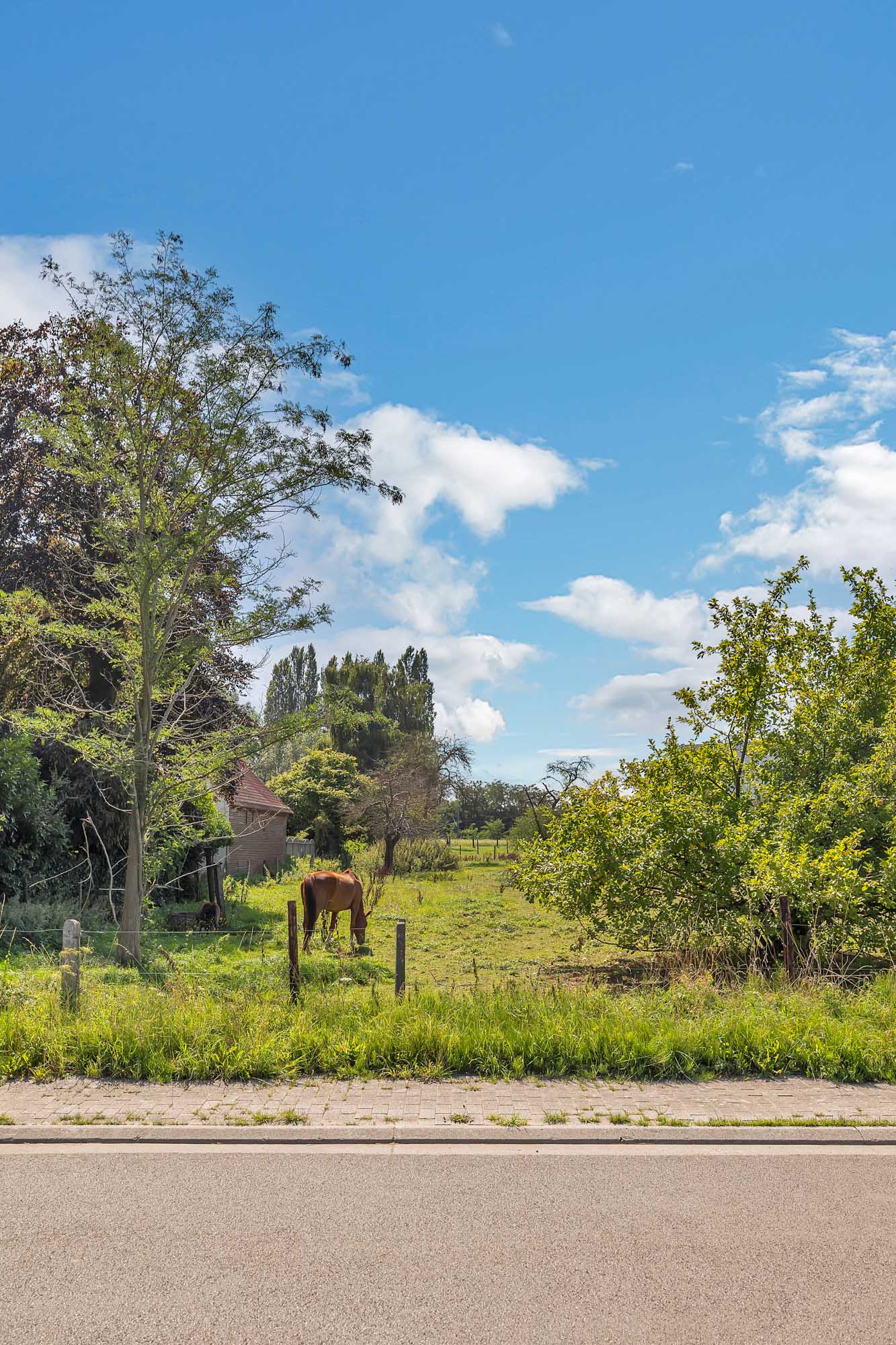 Bouwgrond voor HOB op een rustige en landelijke locatie - foto 3