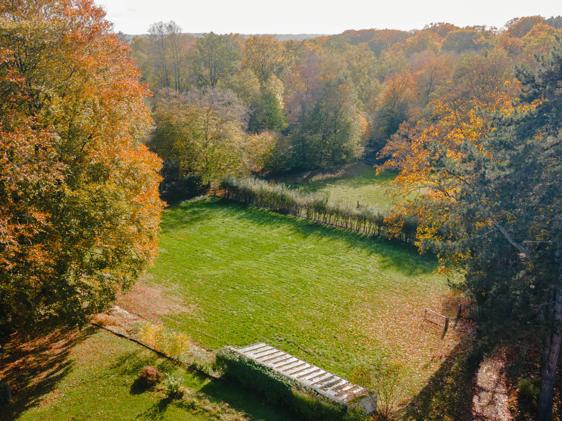 Land for sale in Lasne - photo 5