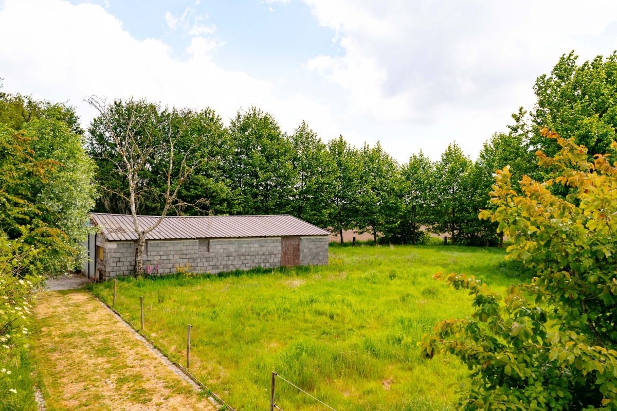 Hoeve voor kleinschalige landbouw of landbouwverbreding te koop te Lotenhulle. - foto 3