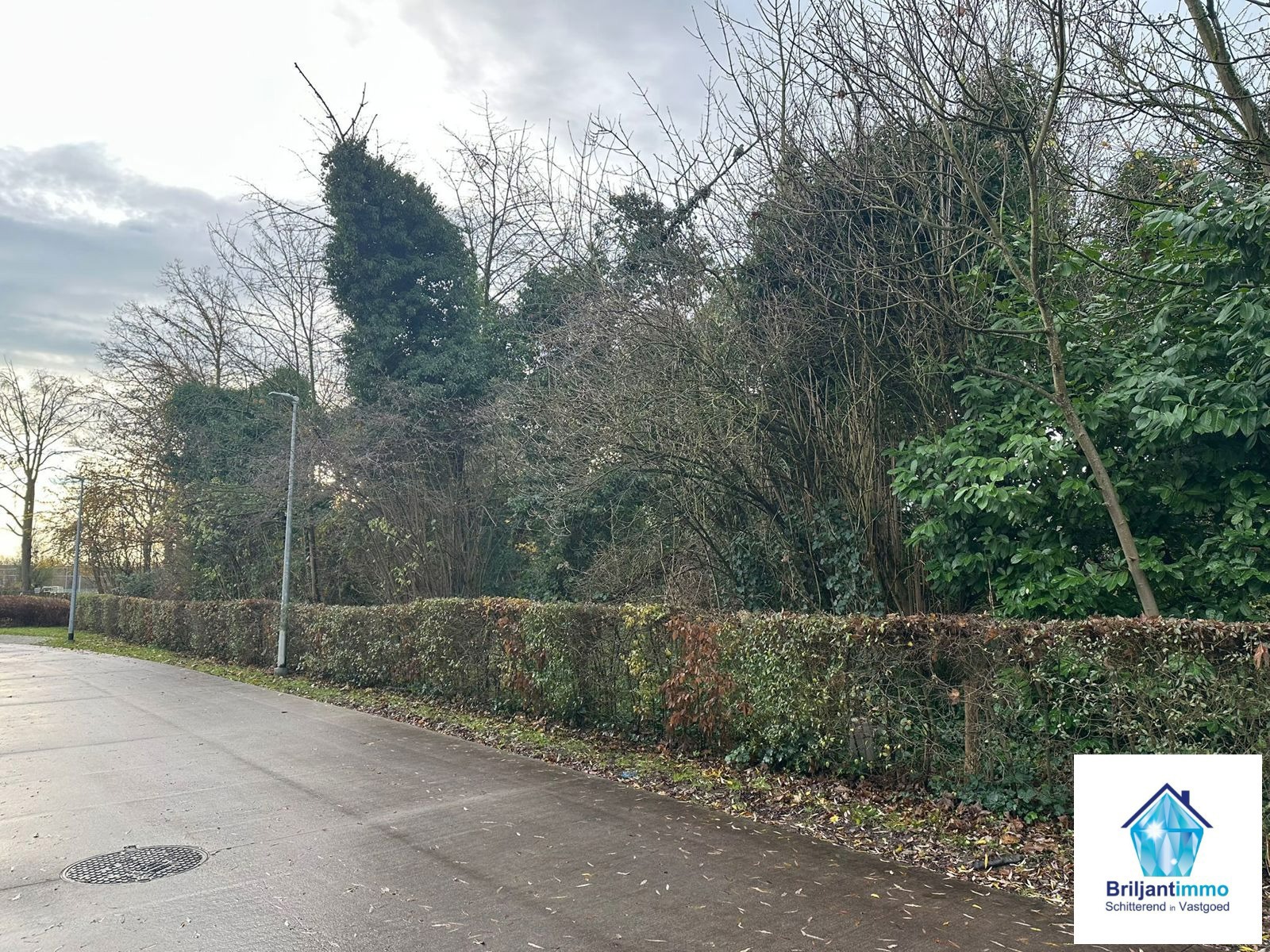 Terrain à vendre à Zemst - photo 3