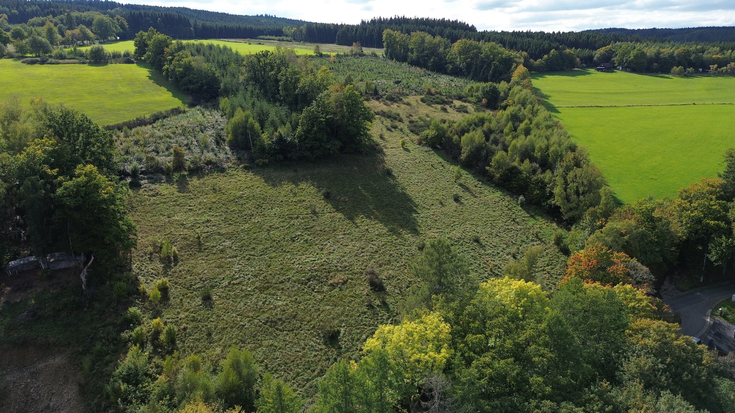 Land for sale in Stavelot - photo 4