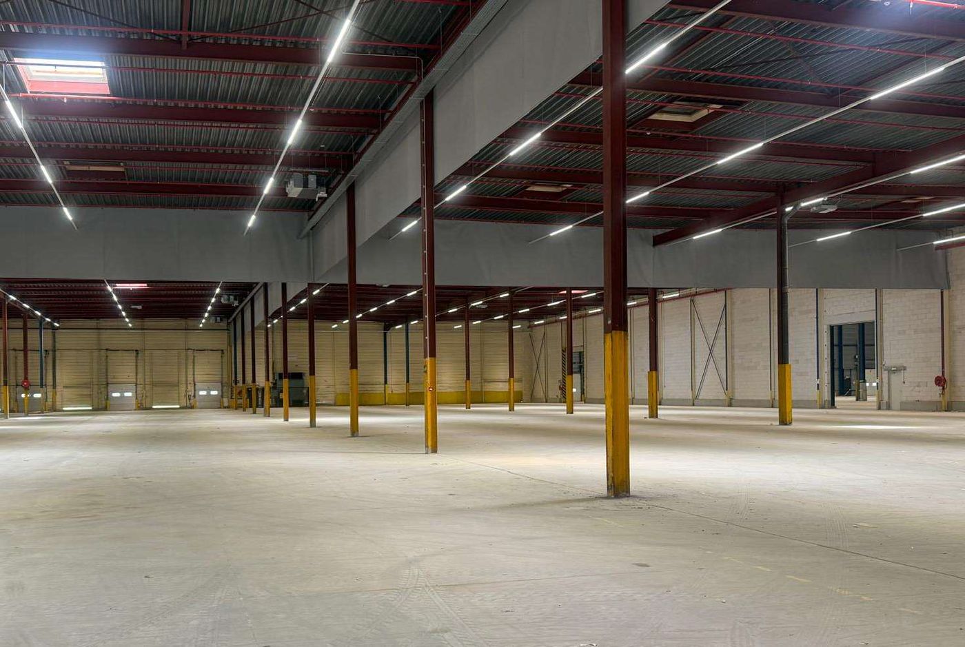 Magazijn 5.440 m² met 7 laadkades en kantoor 340 m² te huur - foto 3