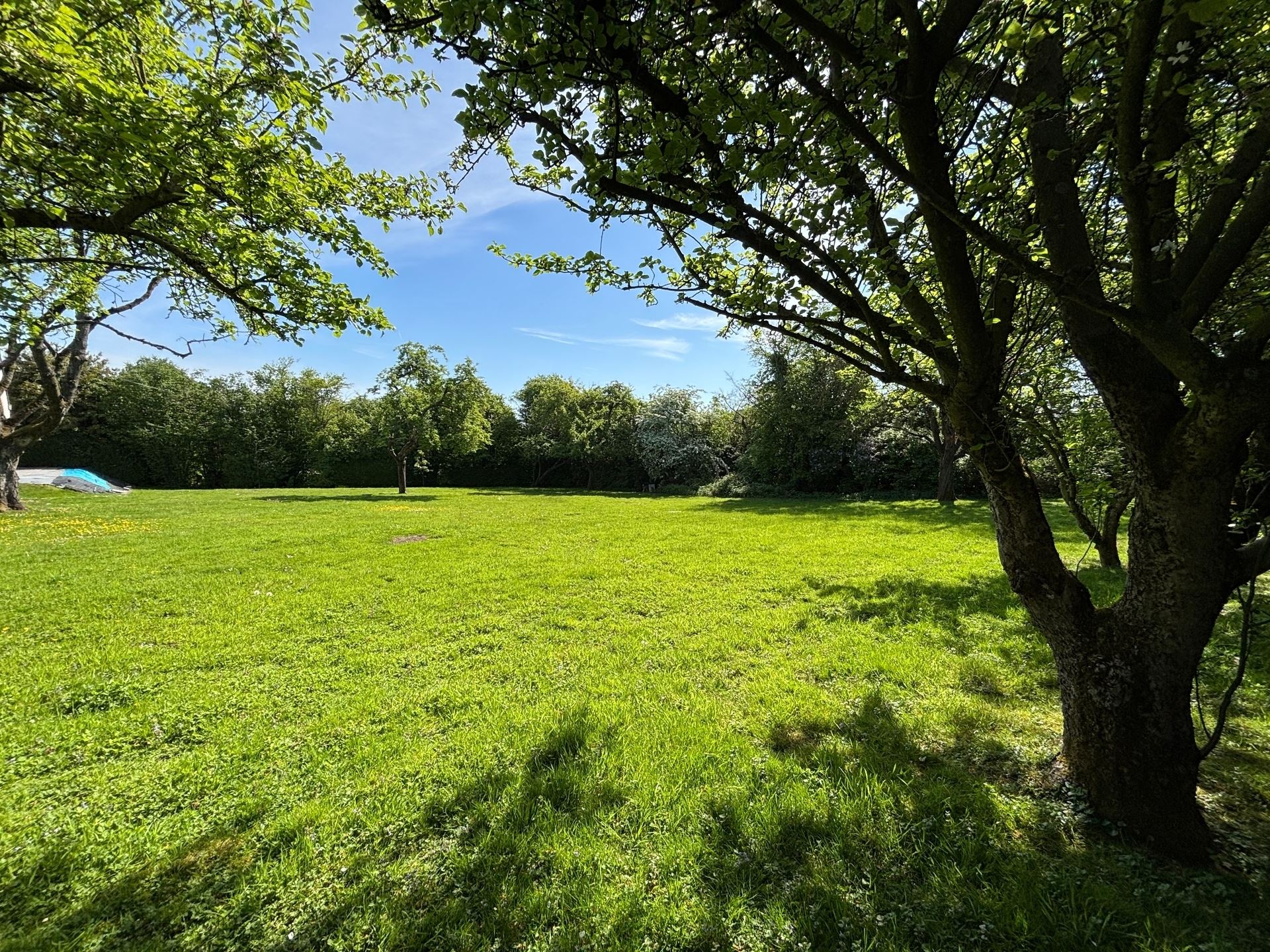 Land for sale in Soignies - photo 4
