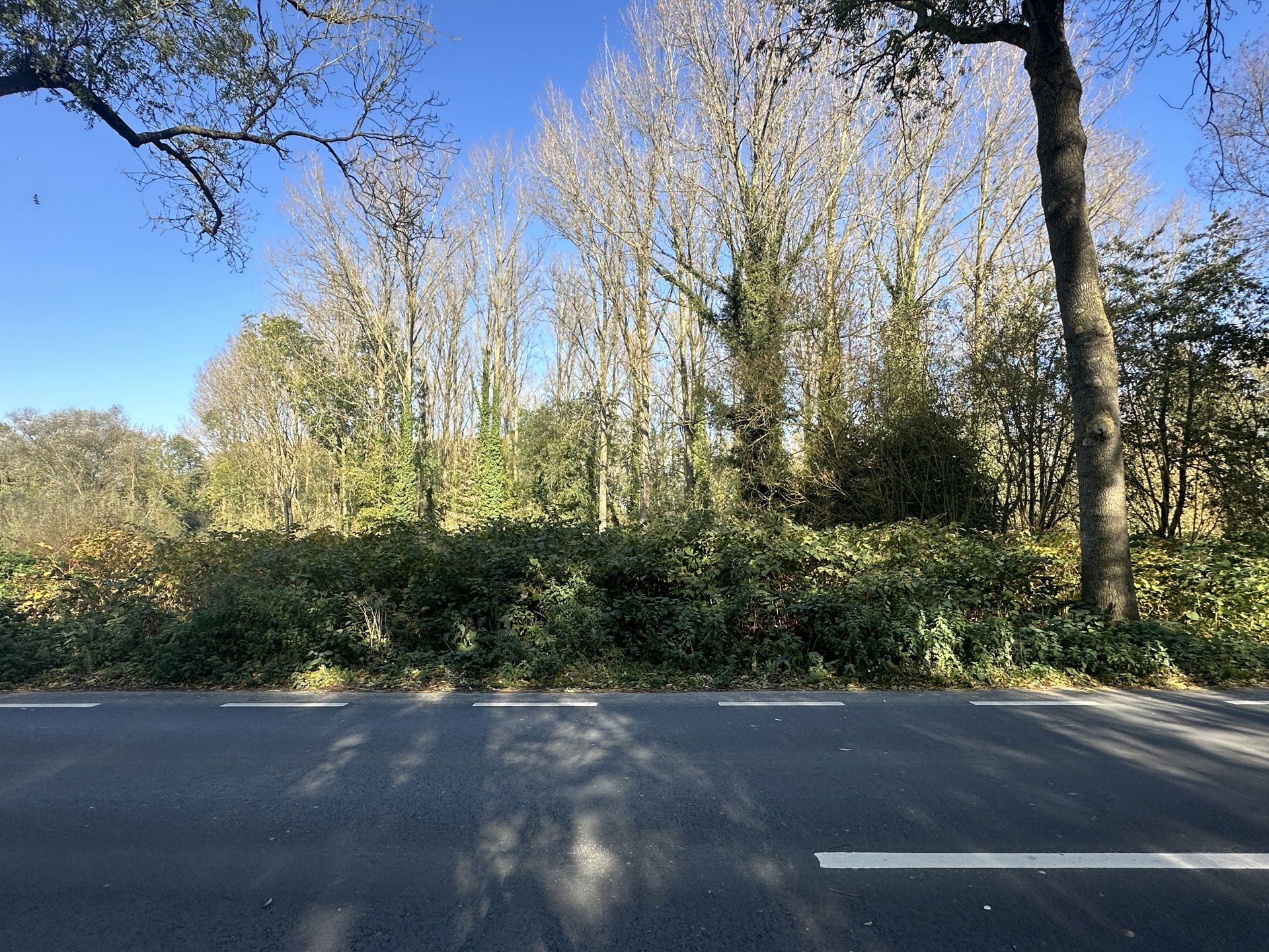 Land for sale in Lessines - photo 3