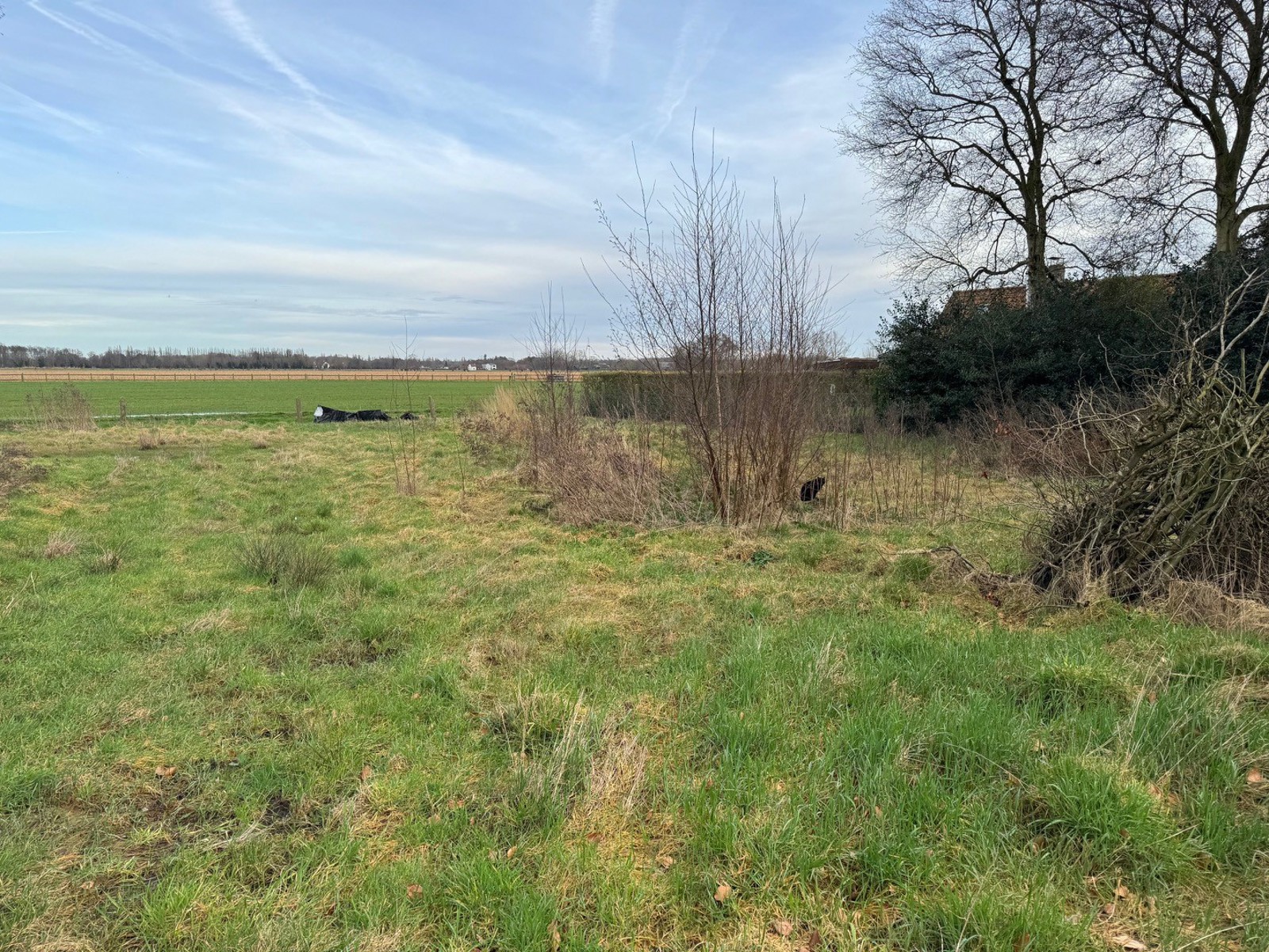 Project te koop in Sijsele - foto 5