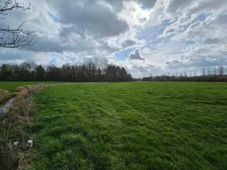 Groot perceel weideland op korte afstand van de Sint Adriaansstraat en bereikbaar via het Schoonbroek. Het perceel heeft een oppervlakte van ± 1ha...