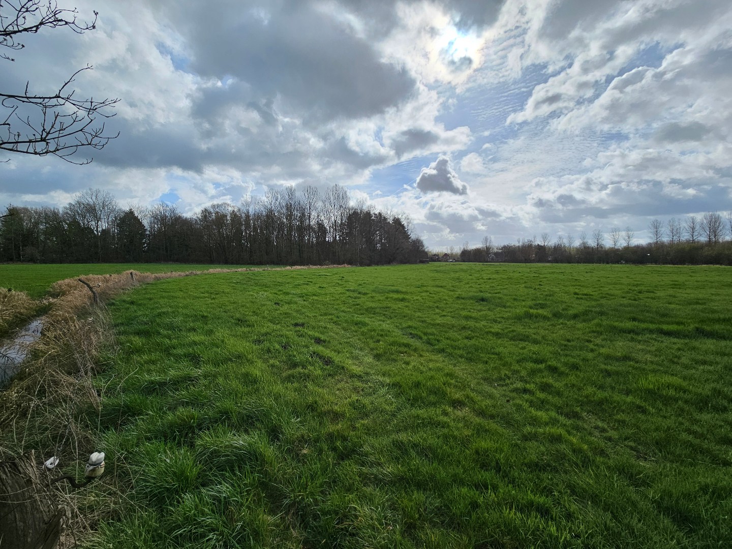 Grond te koop in Haacht - foto 2