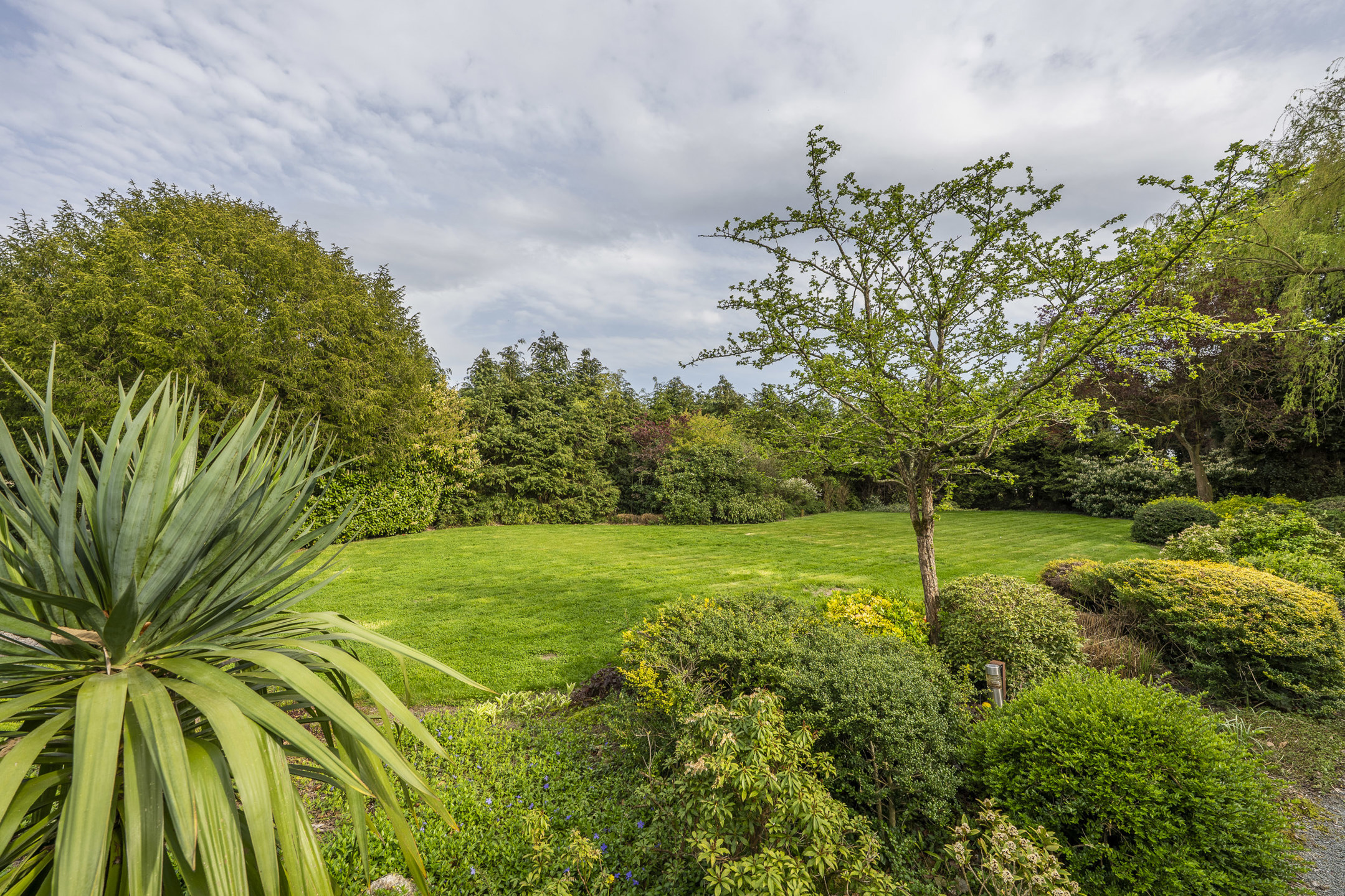 Topligging tussen velden: gelijkvloers wonen met knappe tuin - foto 4
