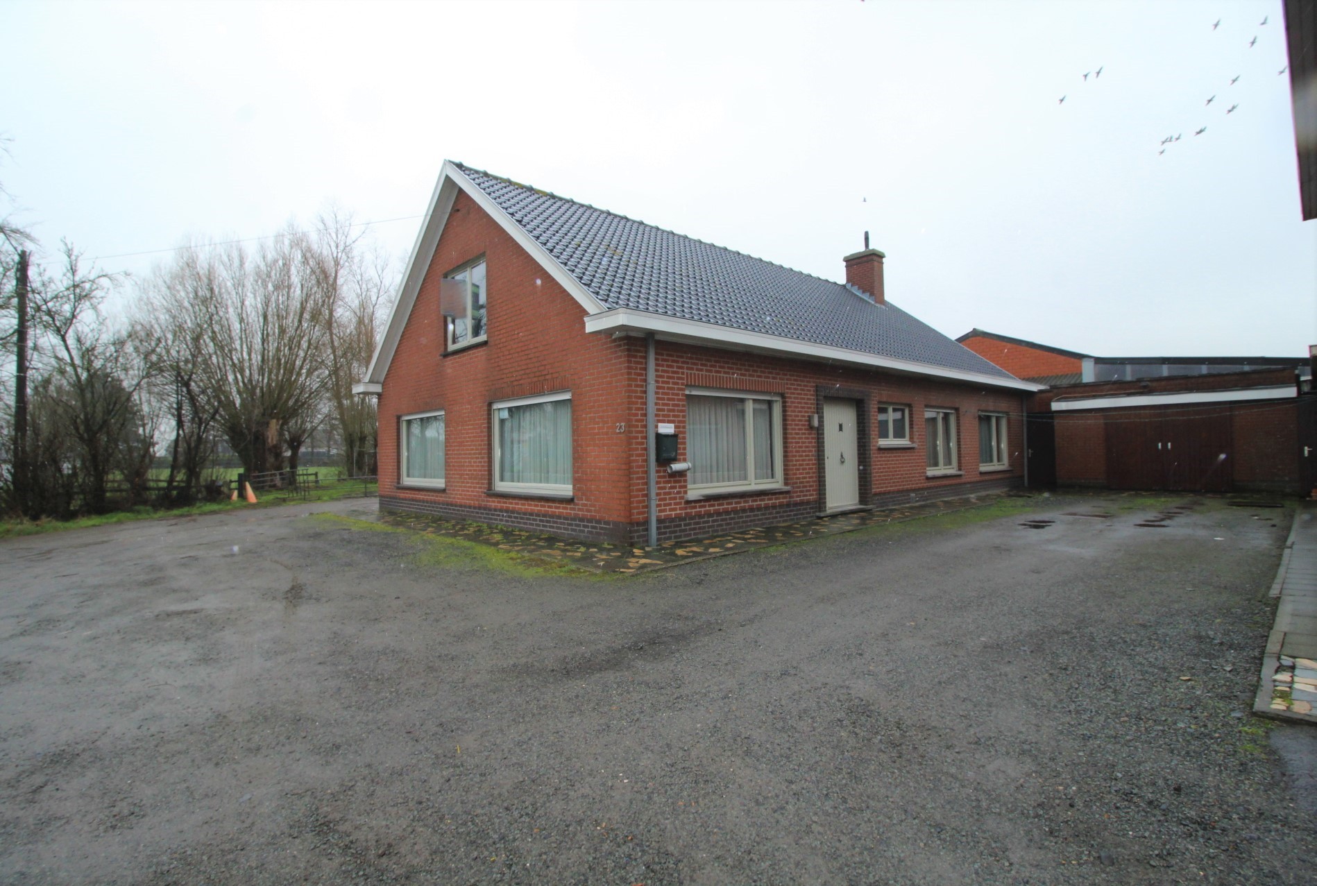 Ruime woning (205 m²) te huur in Oostrozebeke – centraal gelegen tussen Waregem en Tielt - foto 1