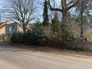 Land for sale in Tessenderlo-Ham