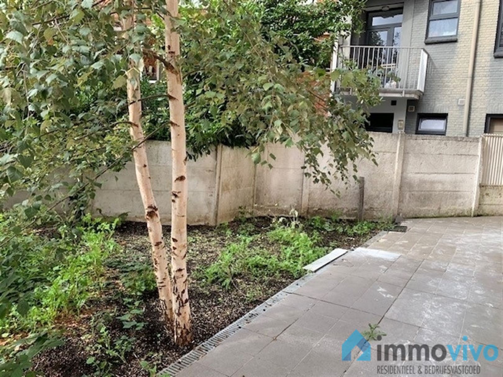 Commercial for sale in Antwerp with 16 bedrooms - photo 3