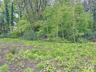 Mooie bouwgrond in een rustige straat te koop in Aarschot!Een prachtig perceel bouwgrond van 25 are 57. Landelijk en in het groen.In een zeer rustige...