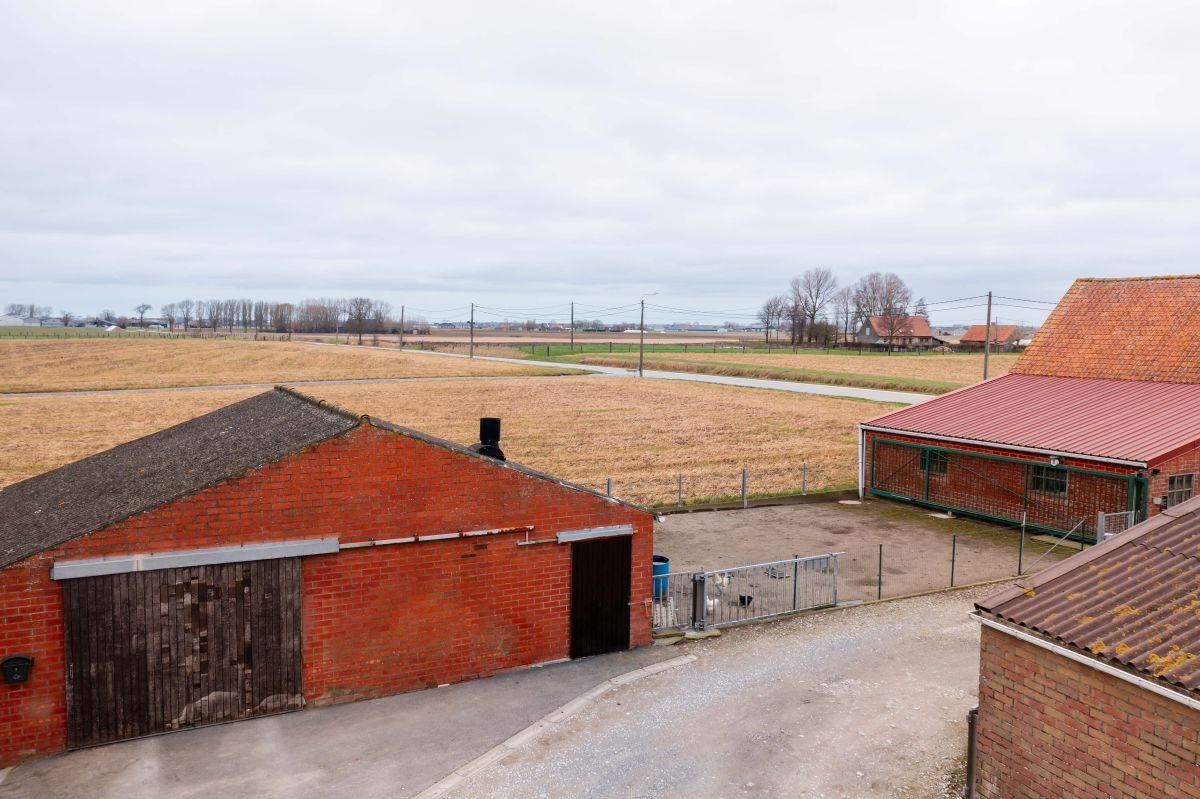 Varkensbedrijf te koop te Leisele - photo 4