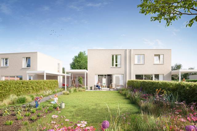 Project te koop in Aarsele