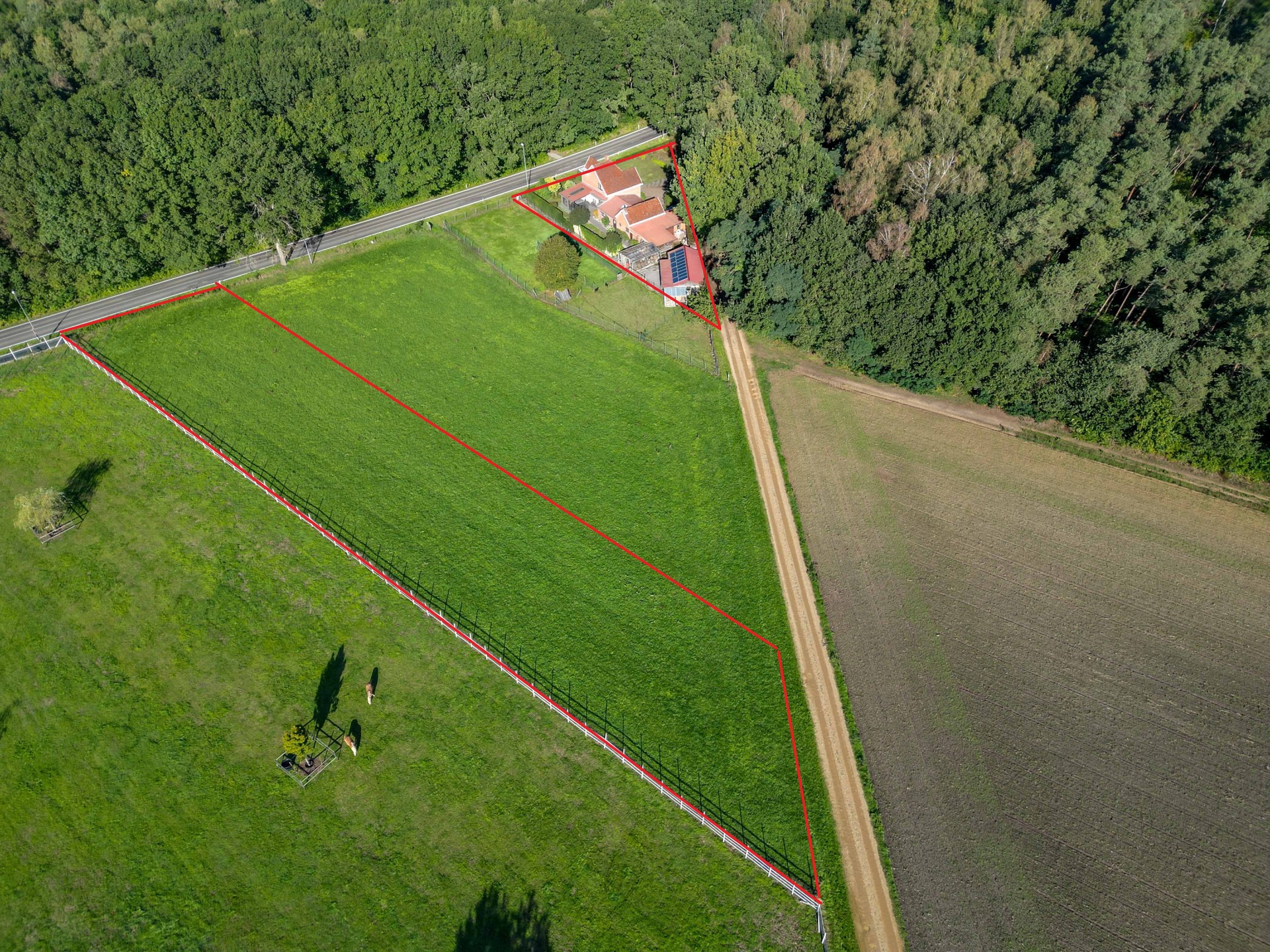 KARAKTERVOLLE WONING OP 41,73 ARE TE OPGLABBEEK - foto 5