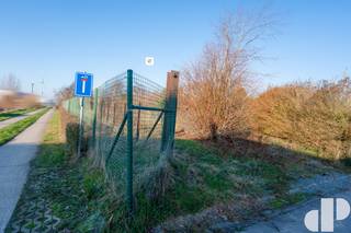 Prachtig villaperceel zonder bouwverplichting

Ontdek dit mooie villaperceel zonder enige bouwverplichting, waardoor u volledig vrij bent in de timing van uw bouwproject. Dankzij de soepele bouwvoorschriften geniet u van tal van mogelijkheden om uw droomwoning te realiseren.

Er is nog een hoeve die zal afgebroken worden op kosten van de verkavelaar, 6% btw op de nieuwbouw constructiewaarde is mogelijk. Het terrein zal volledig bouwrijp gemaakt worden.

Het perceel kijkt uit op een groene zone en is rustig gelegen, met fietspaden die een vlotte verbinding bieden naar sportfaciliteiten, scholen en het centrum. Bovendien geniet u van een uitstekende bereikbaarheid, met een snelle aansluiting op de E17.
