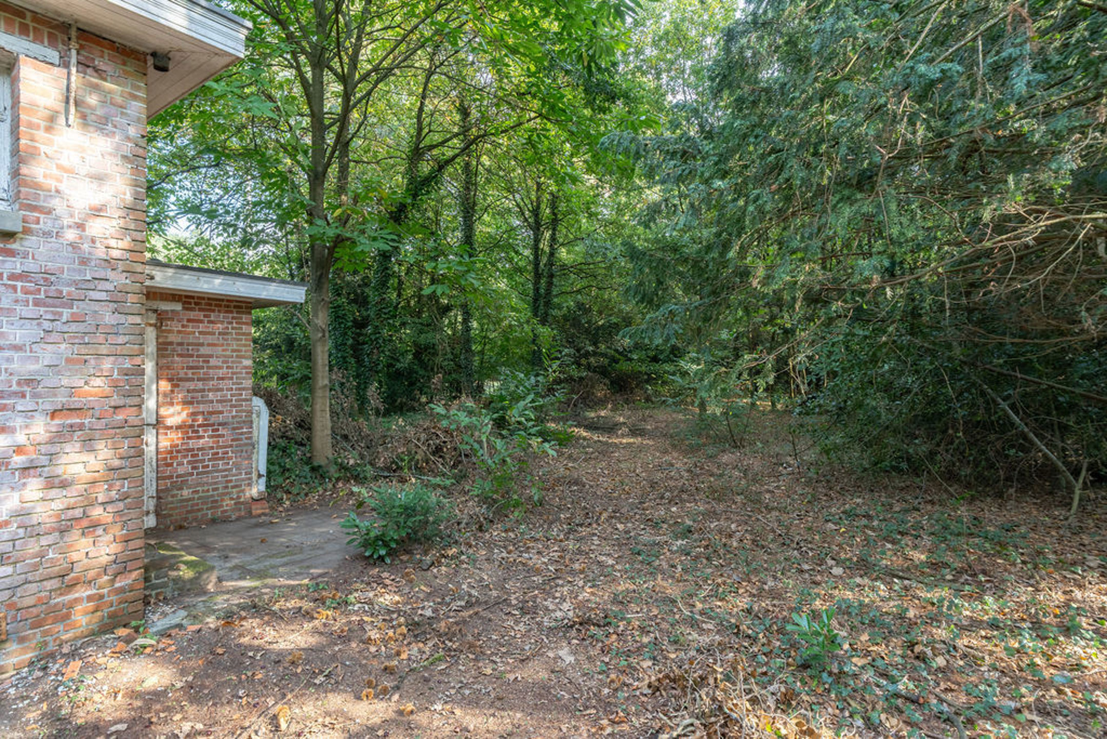 Bouwgrond / grondig te renoveren woning op 7.106m² grond. - foto 5