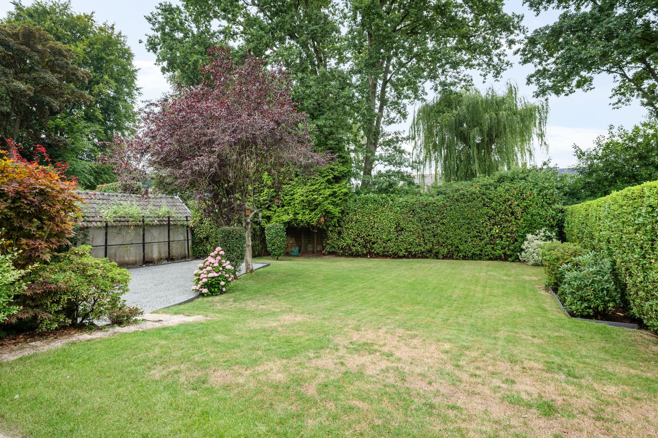 Royale laagbouwwoning met riante leefruimte en grote kelder op toplocatie in De Sterre! - foto 4