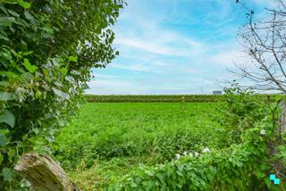 Rustig gelegen, te renoveren halfopen bebouwing met een bewoonbare oppervlakte van 132 m² (volgens EPC-attest) gelegen op een perceel van 577 m². Deze eengezinswoning met drie slaapkamers geniet van een rustige, groene ligging op de wijk De Mol en beschikt tegelijkertijd over een uitstekende bereikbaarheid dankzij de onmiddellijke nabijheid van de Rijksweg (N36) alsook het op- en afrittencomplex E403 (Roeselare-Rumbeke). Indeling: uitnodigende inkomhal, apart gastentoilet, leefruimte met zicht en toegang naar de tuin, keuken, kleine berging en extra bergruimte/wasplaats (vroeger een inpandige garage). Op de eerste verdieping bevindt zich de nachthal, badkamer en drie slaapkamers. De zolder is te bereiken via een trapluik in de nachthal. Verder beschikt deze woning over een tuin (N), terras, garage en oprit voor meerdere wagens. Houtkachel | Hoofdzakelijk dubbele beglazing (HR)(PVC en hout) | Rolluiken (elektrisch bedienbaar op gelijkvloers) | Renovatieverplichting van toepassing | Stedenbouw in aanvraag | Justine organiseert voor deze woning de bezoeken, mits het maken van een afspraak. www.bordes.be - <strong>Elk prijsvoorstel hoger dan deze startprijs zal worden voorgelegd aan de verkoper(s) die dit al dan niet kan/kunnen aanvaarden.</strong>