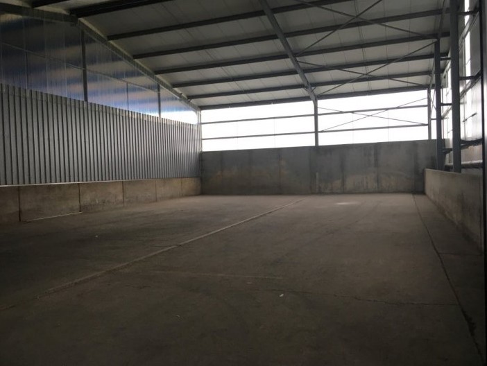 Loods 264m² te huur in Geluwe - foto 1