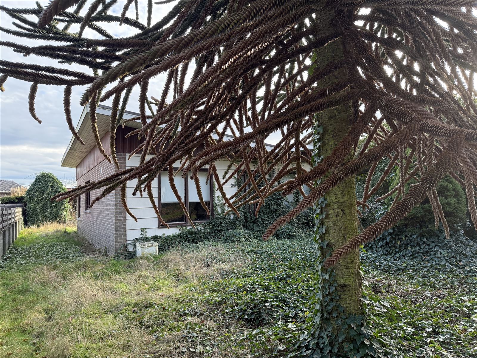 Maison à vendre à Itegem avec 2 chambres - photo 2