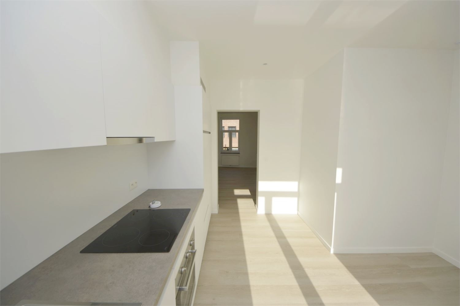 COMPLEET VERNIEUWDE DUPLEX MET TERRAS - foto 5