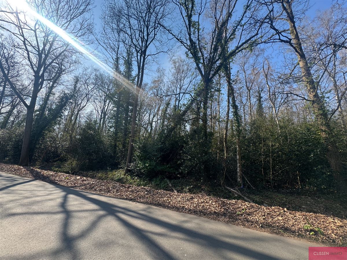 Mooi perceel bosgrond gelegen aan de begeerde Elshout wijk te Schoten - foto 3