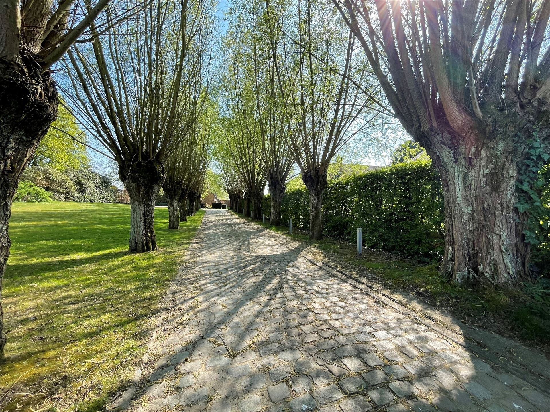 House for sale in Lembeek with 6 bedrooms - photo 3