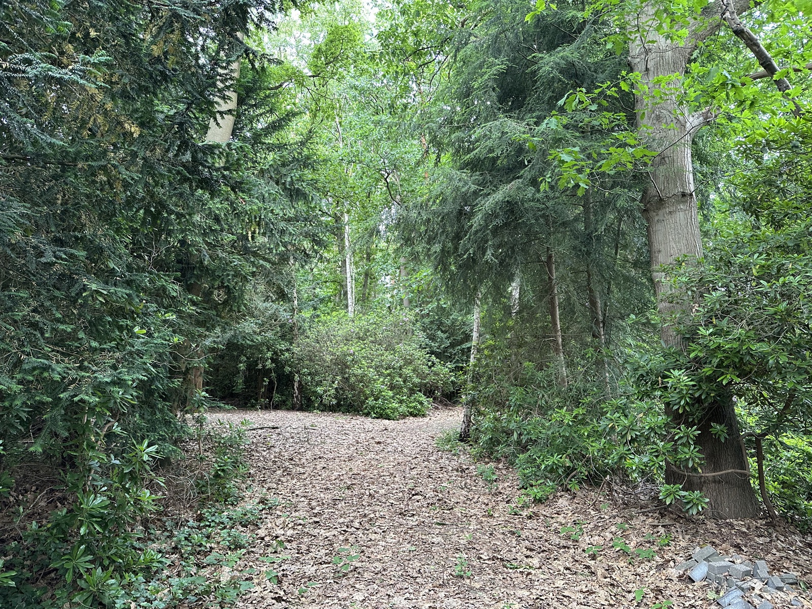 Prachtig villaperceel in Kapellenbos! - foto 3