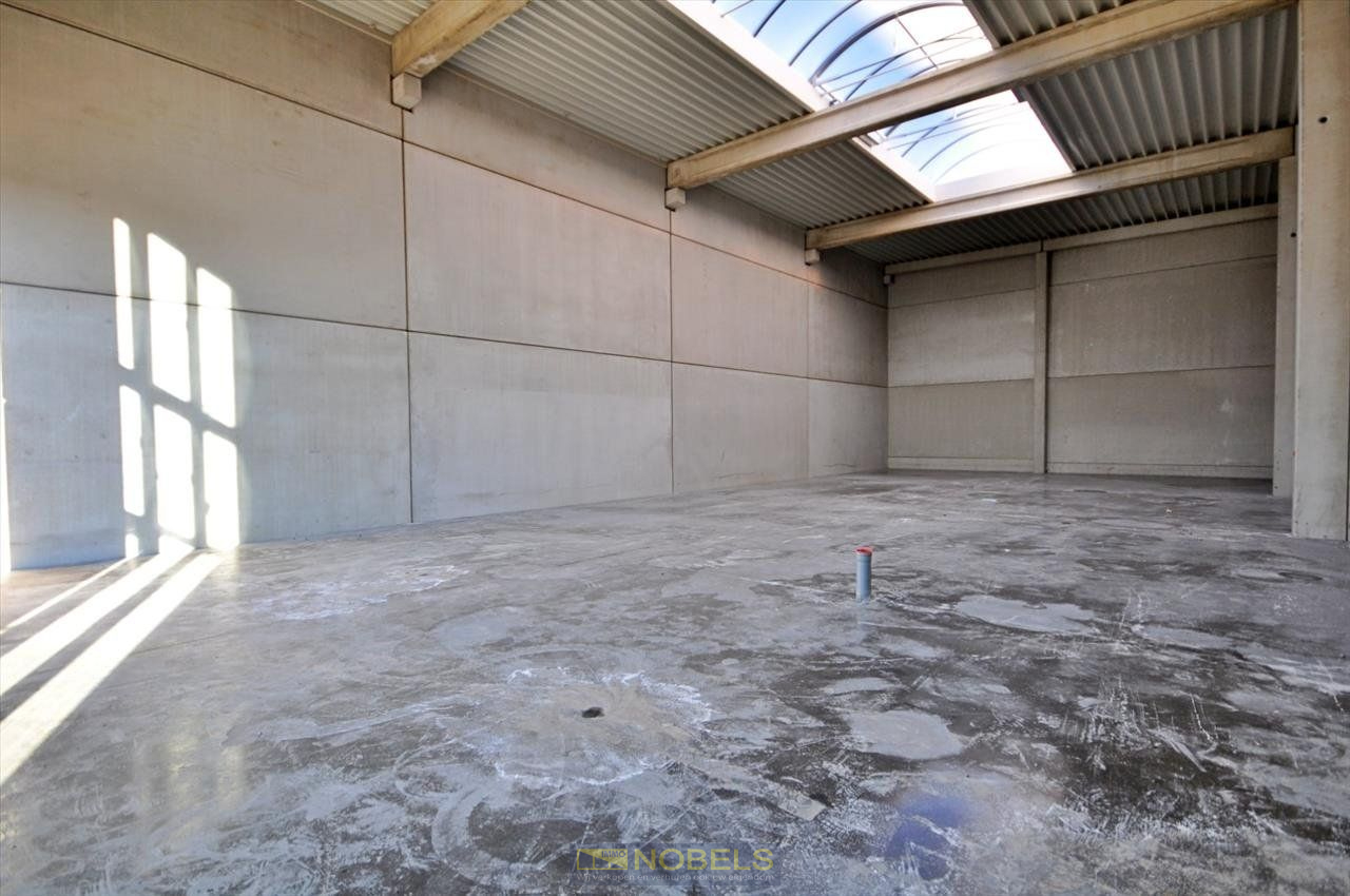 Te huur, ruim, industrieel magazijn gelegen te Ronse - foto 5