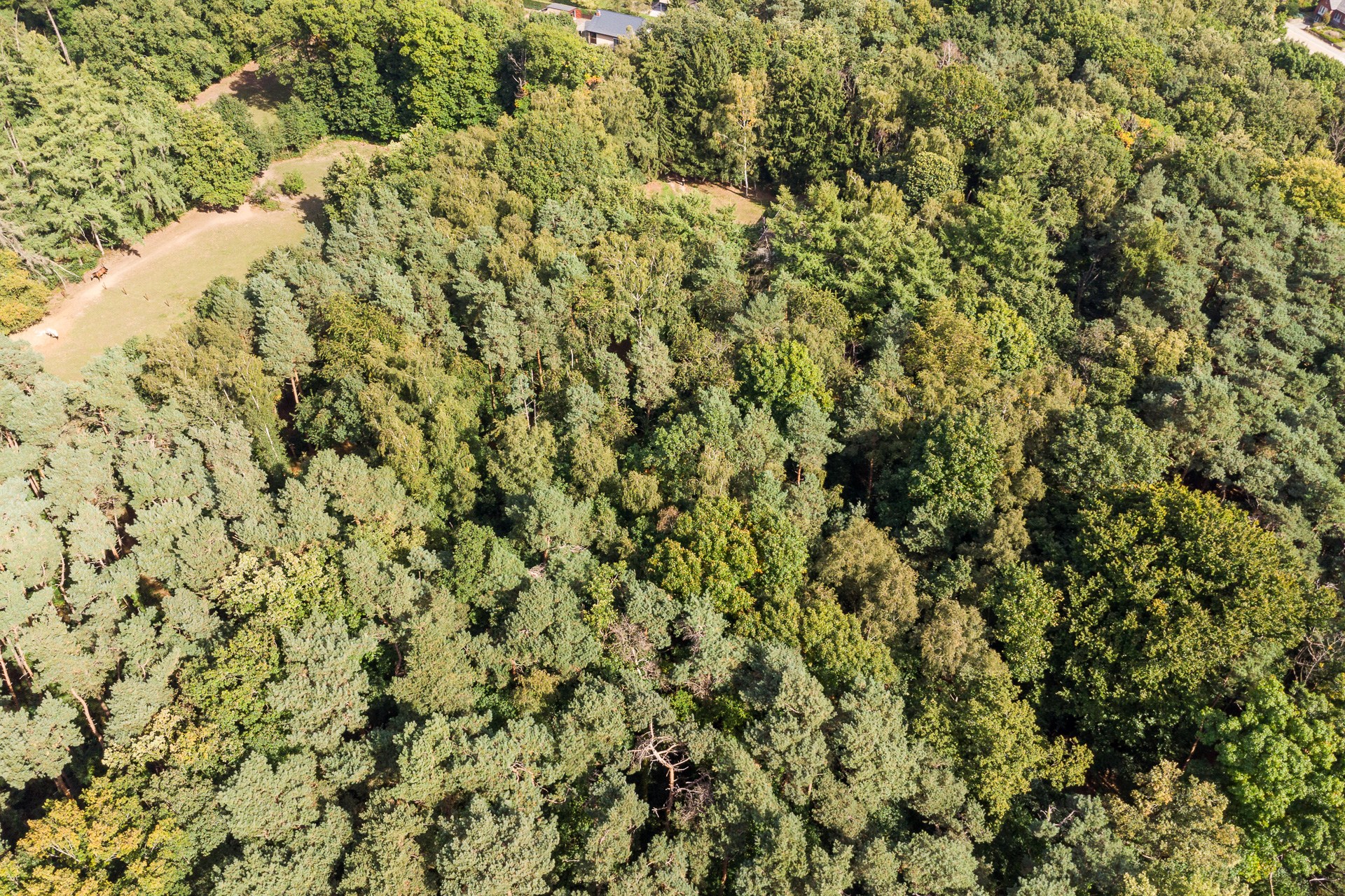 Terrain à vendre à Lummen - photo 5