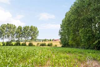 <p>Aangename gerenoveerde halfopen woning, gelegen in een rustige woonomgeving in het hart van het Pays des Collines, en toch dicht bij alle voorzieningen zoals autosnelweg, scholen, winkels, enz.<br /><br />Een ideale woning voor wie zich onmiddellijk wil vestigen zonder werken te moeten voorzien!<br /><br />De woning is als volgt ingedeeld:<br /><br />Gelijkvloers: inkomhal, woonkamer, eetkamer en uitgeruste open keuken, evenals een badkamer met inloopdouche, toilet en een praktische wasruimte.<br /><br />Verdieping: twee mooie slaapkamers en een klein bureau.<br /><br />Zolder: mogelijkheid om een extra grote slaapkamer in te richten.<br /><br />Kelder: praktische kelder.<br /><br />Buiten geniet u van een perceel van meer dan 5 are, met zijdelingse toegang, een mooi terras, een atelier en twee parkeerplaatsen vooraan.<br /><br />Technisch: PVC-ramen met dubbele beglazing, pelletkachel, moderne elektrische verwarming, conforme elektriciteit, elektrische boiler en nieuw dak, nog te isoleren.<br /><br />Een aangename, functionele en prachtig gelegen woning waar u onmiddellijk kunt intrekken!<br /><br />Contacteer ons snel voor een bezoek via: aurelie@immobeguin.be</p>