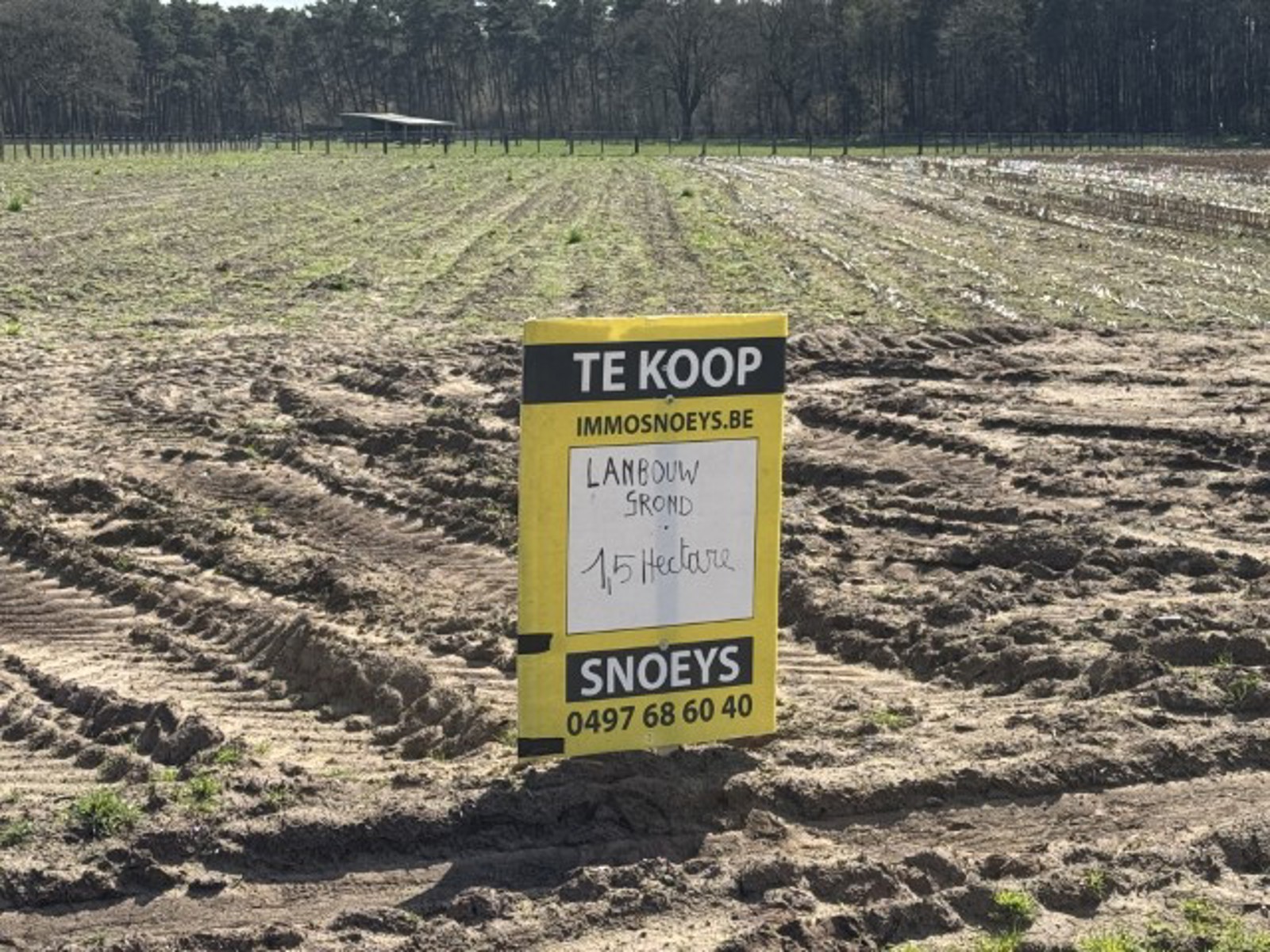 Deze mooie landbouwgrond van meer dan 1,5 hectare is onmiddelijk beschikbaar en vrij van huur of pacht.