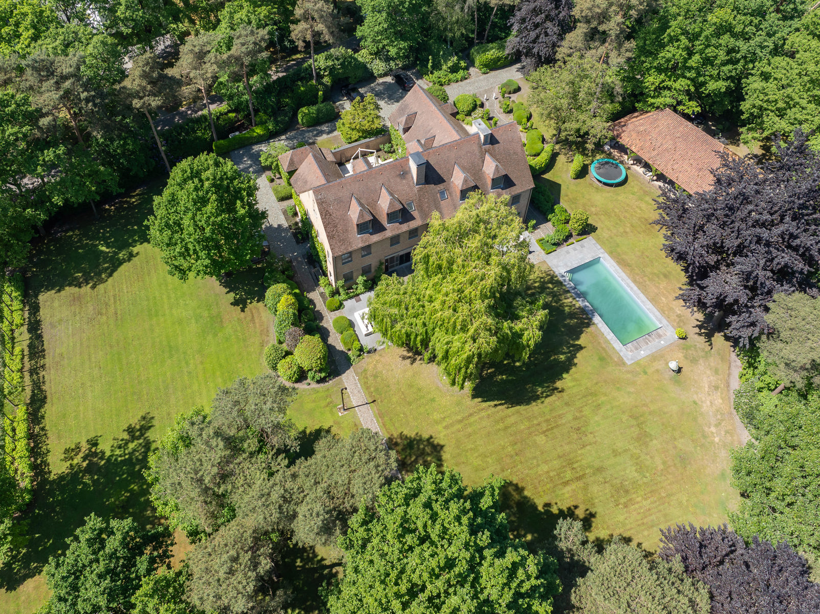 Schitterend domein van 7,7 ha met prachtige villa, zwembad, guesthouse, ruime schuur en uitgebreide paardenfaciliteiten. - foto 3