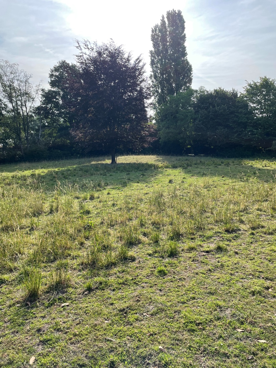 Prachtige landelijke woning met verzicht op natuur - foto 4