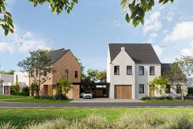 Project te koop in Dilsen-Stokkem