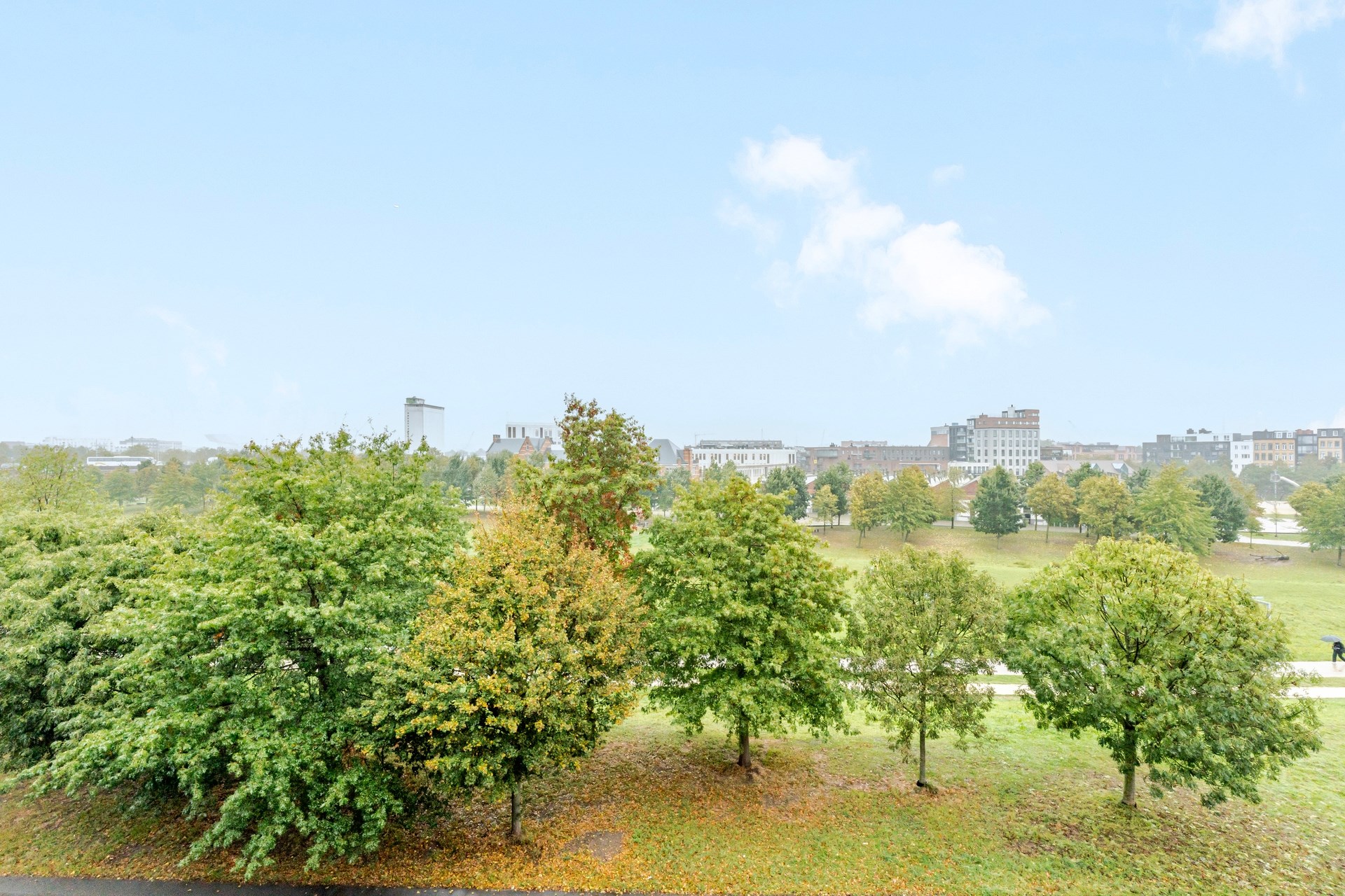 Lichtrijk appartement met 2 slaapkamers en uitzicht op Park Spoor Noord - foto 4