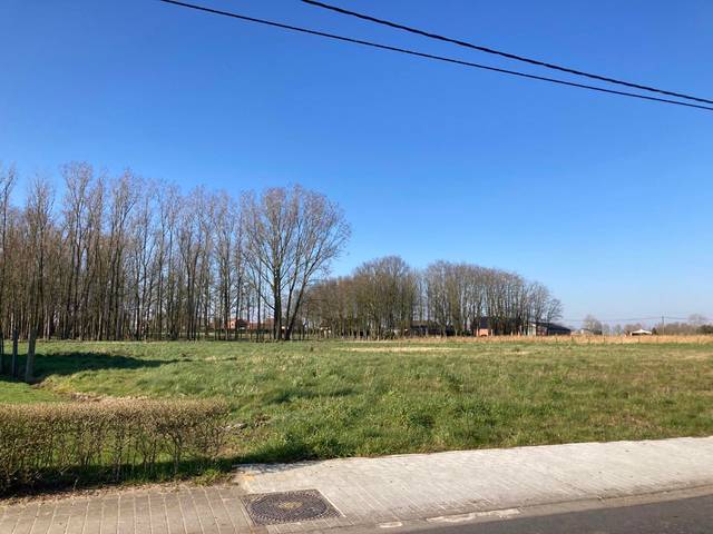 Project te koop in Ruddervoorde