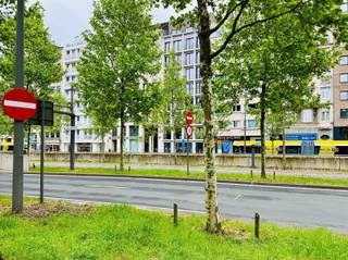 Bent u op zoek naar een zorgeloze investering in een studentenflat op een absolute topligging in Antwerpen? Lees dan zeker verder!Deze studentenkamer is gelegen in het gekende Campus Opera, op de Frankrijklei 41-43 in 2000 Antwerpen, pal in het centrum van de stad. Dankzij deze centrale ligging is de campus uiterst geliefd en geniet je van een vlotte bereikbaarheid en alle voorzieningen op wandelafstand.De kamer bevindt zich op de vierde verdieping, achteraan rechts in het gebouw (kamer 4-10). Het betreft een studeer- en slaapvertrek, uitgerust met bed, bureau, gordijnen en koelkast. Daarnaast beschikt de kamer over een eigen badkamer met lavabo, douche en toilet, wat zorgt voor extra comfort en privacy.Bij deze kamer hoort tevens het exclusief genot en gebruik van de fietsenberging, namelijk plaats 54 (boven).Verder geniet de student van gemeenschappelijk gebruik van:•meerdere keukens•een studeerruimte•een tuin•een kitchenette met microgolfovens per verdiepingHet gebouw wordt beheerd door een syndicus en een grote troef van deze investering is de gegarandeerde opbrengst tot en met 2032. Interesse in deze interessante studenteninvestering op toplocatie? Neem gerust contact met ons op voor meer informatie.