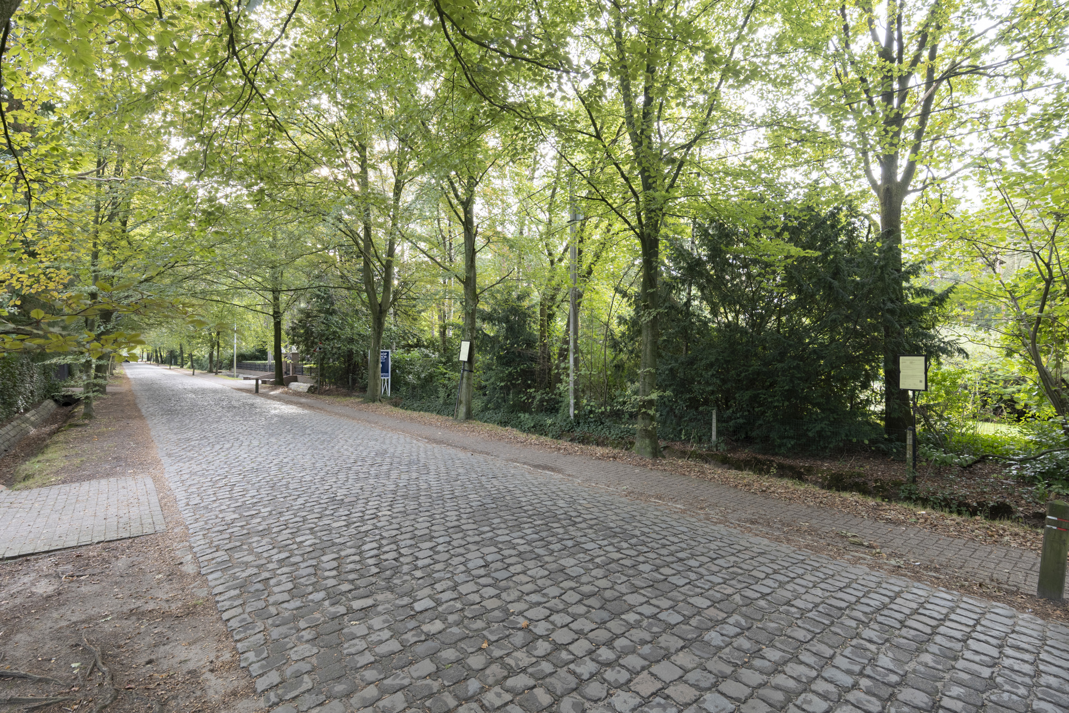 Perceel bouwgrond van 4.450 m² met perfecte zuidoriëntatie - foto 4